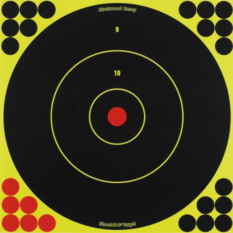 Shoot-N-C 12" BE Tgt /100 BIRCHWOOD-CASEY