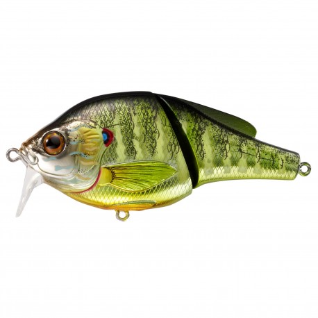 Pumpkinseed Wakebait,metallic/gloss,2 LIVETARGET-LURES