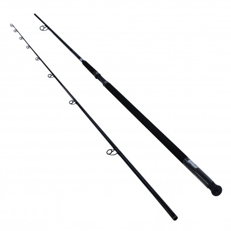 Emcast Surf 2pc LnWt 20-40 DAIWA