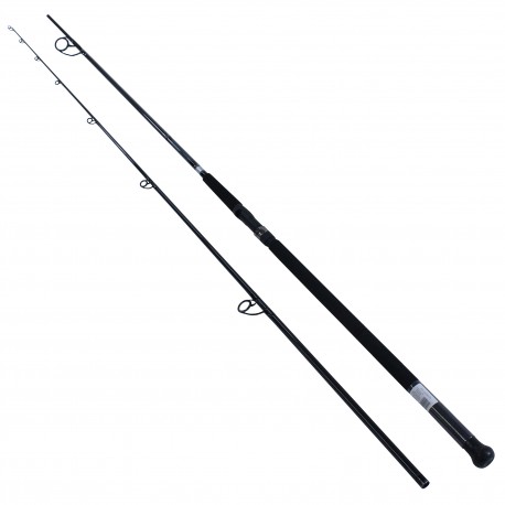 Emcast Surf 2pc LnWt 20-40 DAIWA