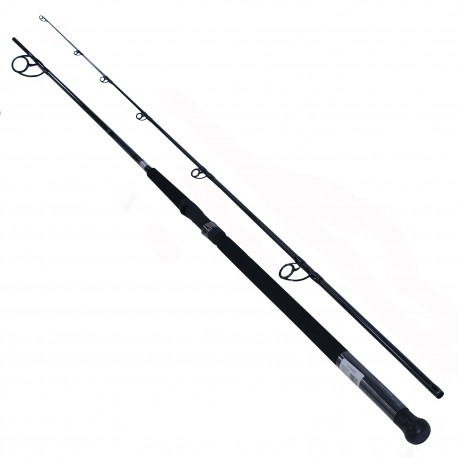 Emcast Surf 2pc LnWt 12-20 DAIWA