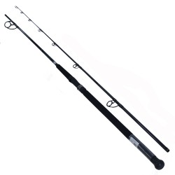 Emcast Surf 2pc LnWt 15-25 DAIWA