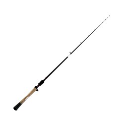 Fuego Series 1pc LnWt 12-25 DAIWA