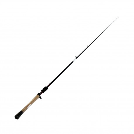 Fuego Series 1pc LnWt 12-25 DAIWA