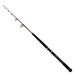 FT Boat 1pc LnWt 30 - 50 DAIWA