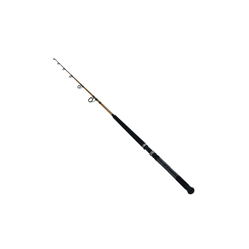 Daiwa ft Spinning Boat Rod