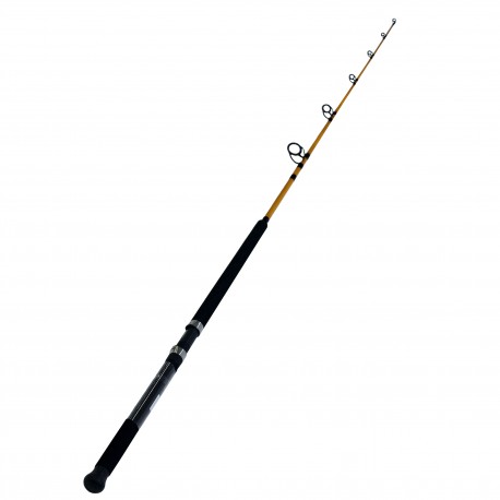 FT Boat 1pc LnWt 15 - 30 DAIWA