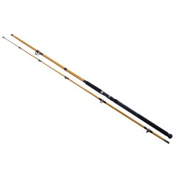 FT Surf 2pc LnWt 10-25 DAIWA