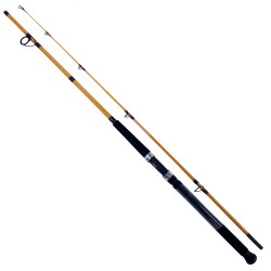 FT Surf 2pc LnWt 8-17 DAIWA