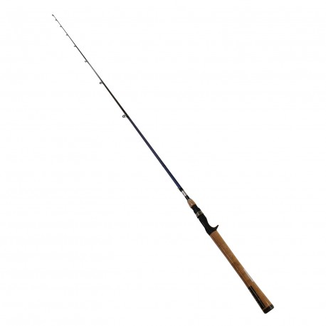 AIRD COASTAL INSHORE,Sec 1,LnWt. 8-17 DAIWA