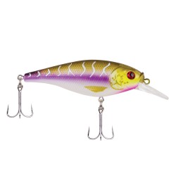 FFSH5S-PT  Purple Tiger 5cm 2-4' BERKLEY